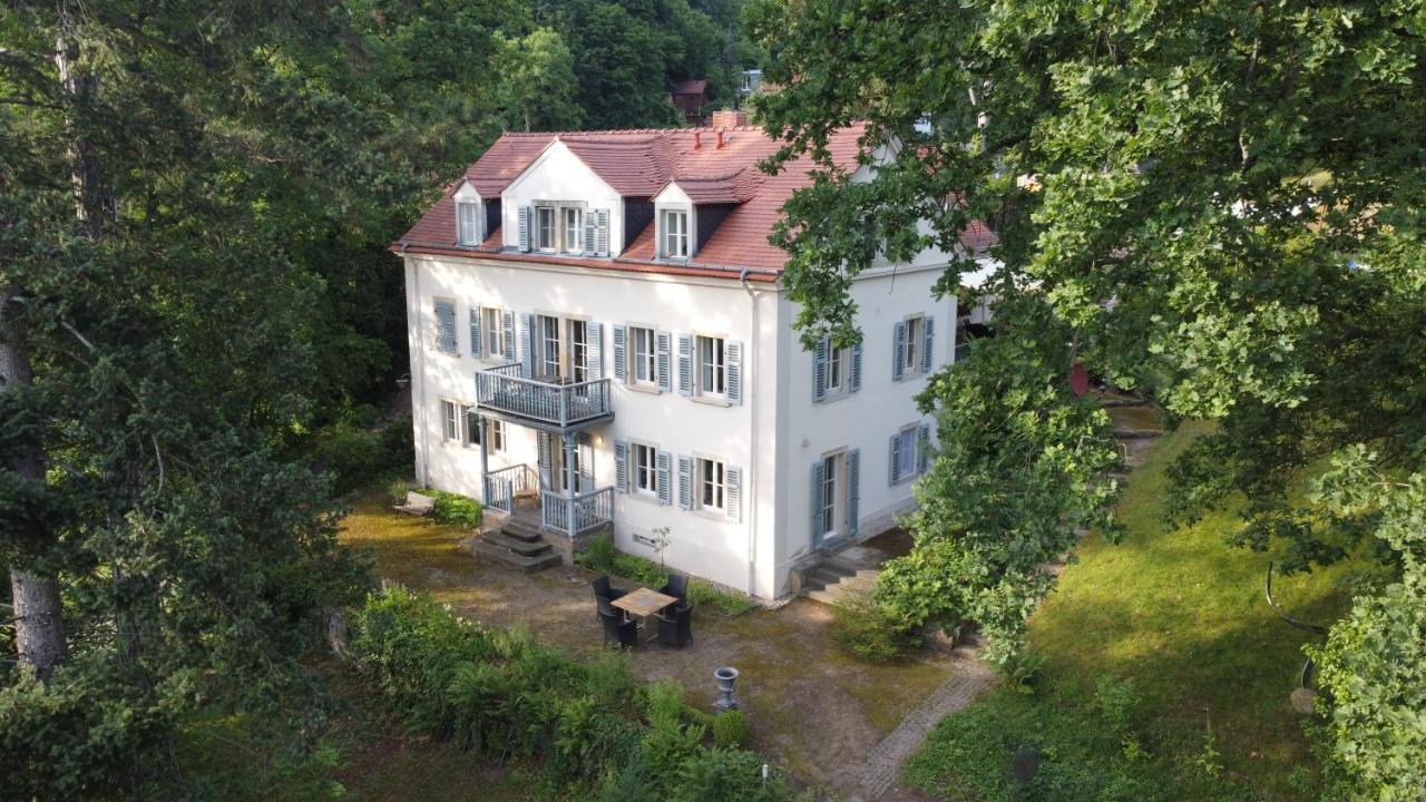 Villa Im Park Wachwitzgrund ドレスデン エクステリア 写真