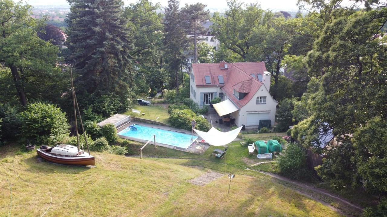 Villa Im Park Wachwitzgrund ドレスデン エクステリア 写真