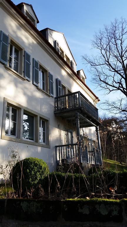 Villa Im Park Wachwitzgrund ドレスデン エクステリア 写真