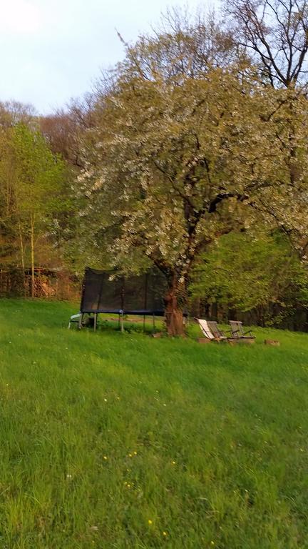 Villa Im Park Wachwitzgrund ドレスデン エクステリア 写真