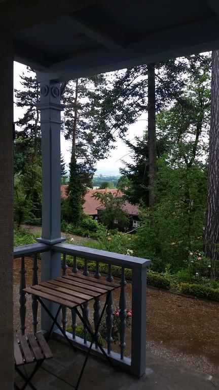 Villa Im Park Wachwitzgrund ドレスデン エクステリア 写真
